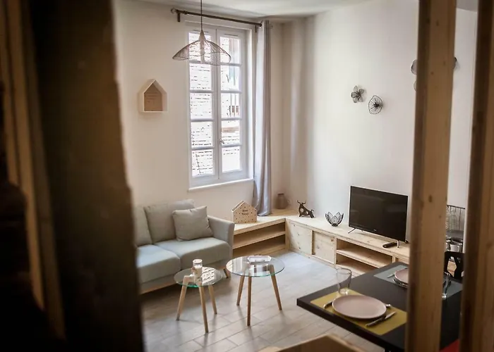 Holiday home De Briques Et De Bois Albi